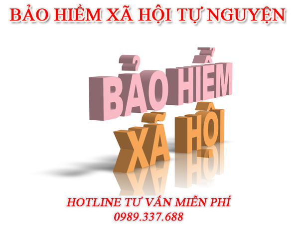 baohiemxahoitunguyen