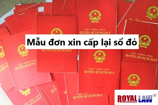 mẫu đơn xin cấp lại sổ đỏ